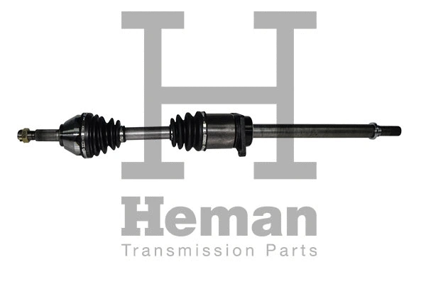 Drive Shaft (TD77710)