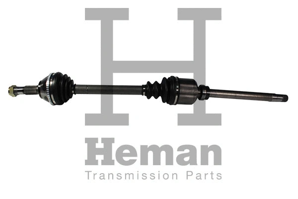 Drive Shaft (TD73650)