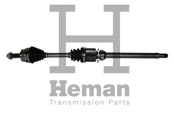 Drive Shaft (TD77950)