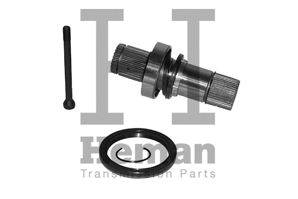 Stub Axle, differential (TT10002)