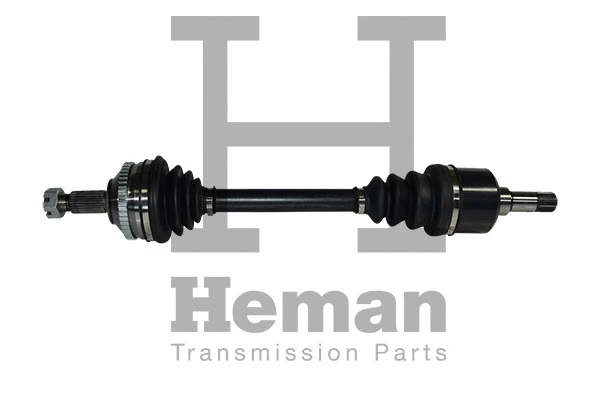 Drive Shaft (TD71010)