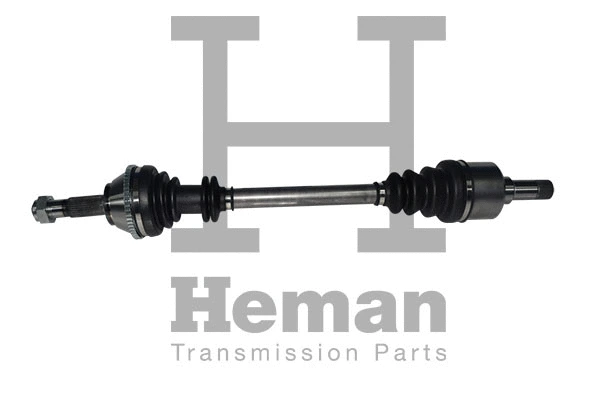 Drive Shaft (TD73680)