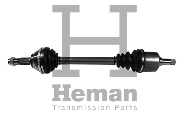 Drive Shaft (TD73660)