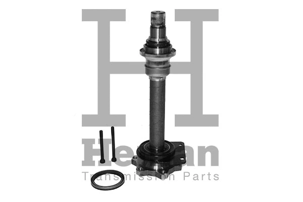 Stub Axle, differential (TT10004)