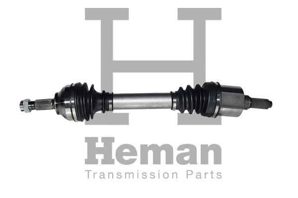 Drive Shaft (TD80920)