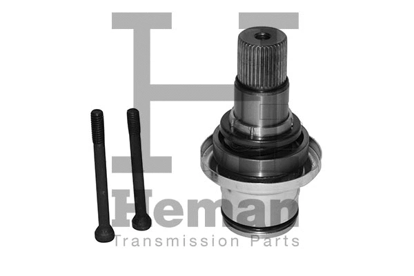 Stub Axle, differential (TT10003)