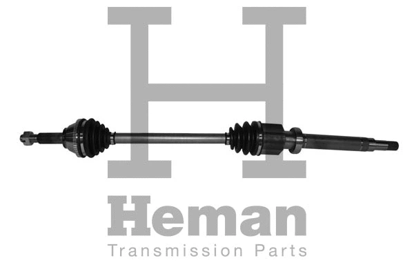 Drive Shaft (TD71240)