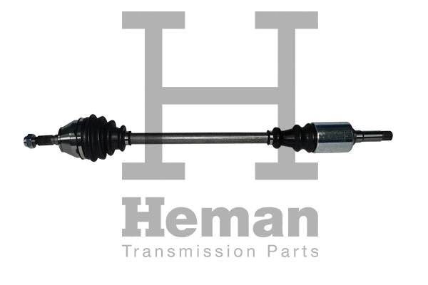 Drive Shaft (TD74810)