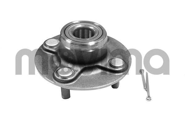 Wheel Bearing Kit (RK00976)