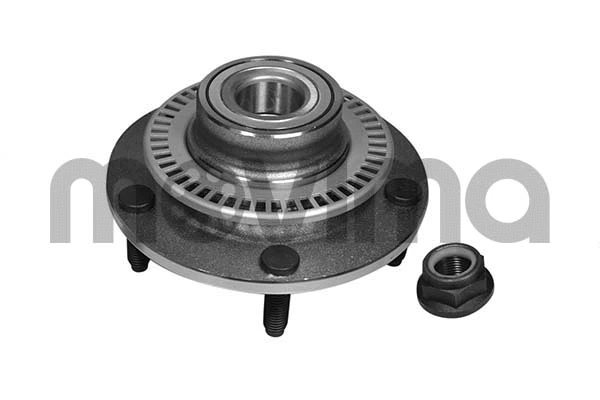 Wheel Bearing Kit (RK01200)