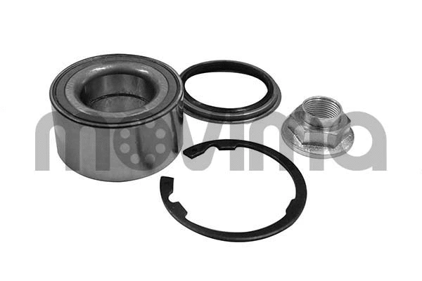 Wheel Bearing Kit (RK00460)