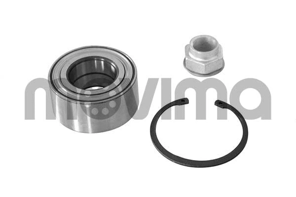 Wheel Bearing Kit (RK01196)