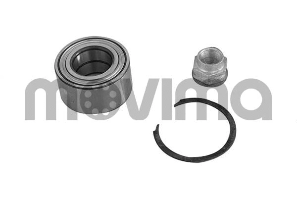 Wheel Bearing Kit (RK01172)