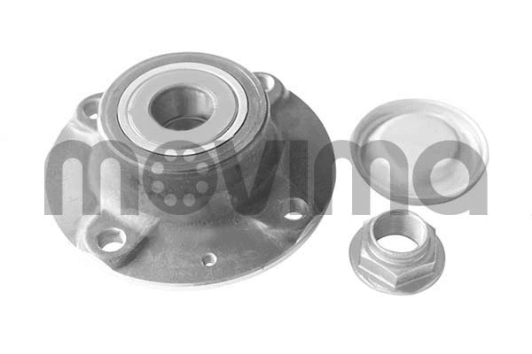 Wheel Bearing Kit (RK01100)