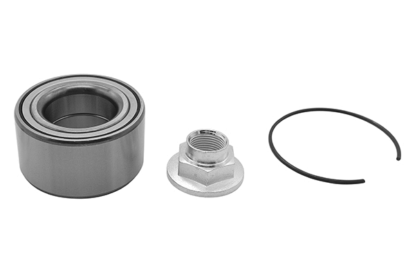 Wheel Bearing Kit (RK04888)