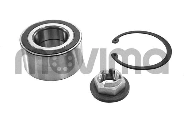 Wheel Bearing Kit (RK00200)