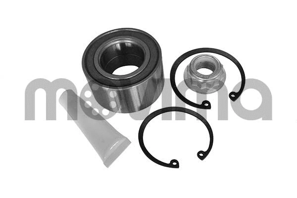 Wheel Bearing Kit (RK00312)