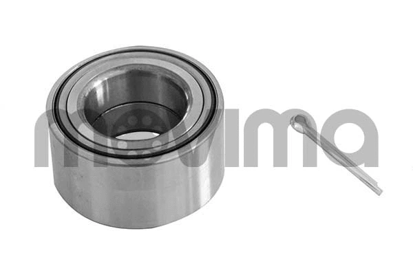 Wheel Bearing Kit (RK00924)