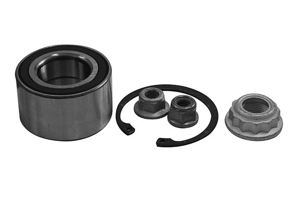 Wheel Bearing Kit (RK01604)