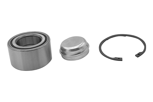 Wheel Bearing Kit (RK04824)