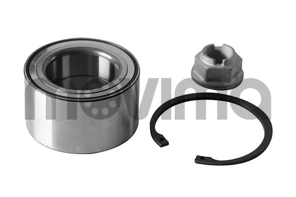 Wheel Bearing Kit (RK00816)