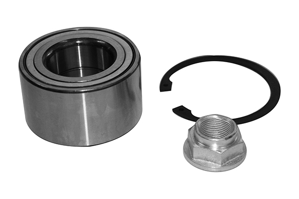 Wheel Bearing Kit (RK01464)