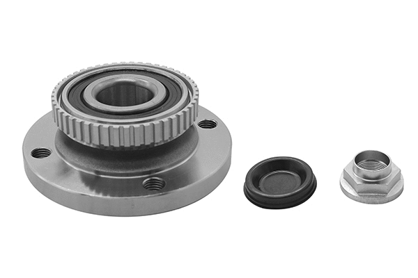 Wheel Bearing Kit (RK01868)