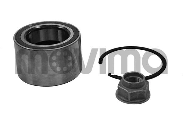 Wheel Bearing Kit (RK00704)