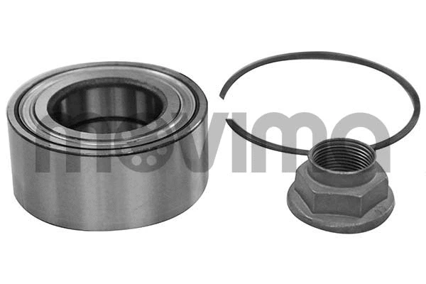 Wheel Bearing Kit (RK00456)