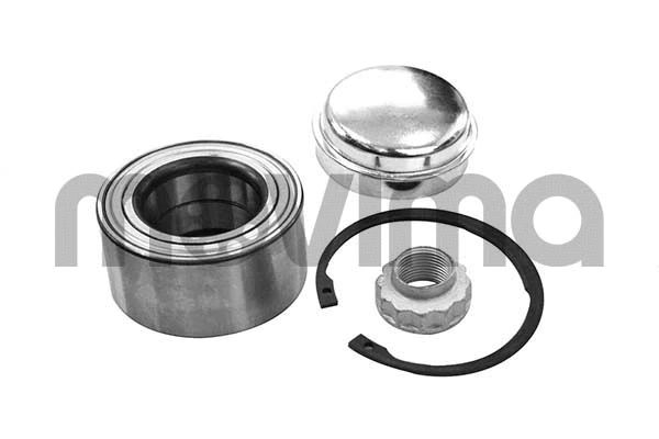 Wheel Bearing Kit (RK00496)