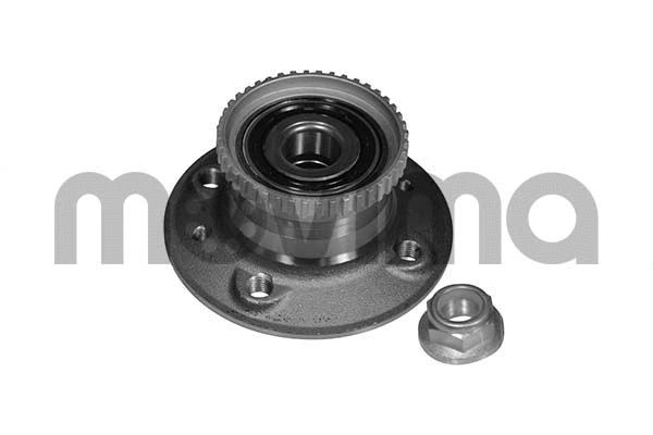 Wheel Bearing Kit (RK01248)