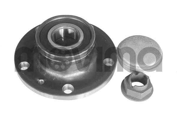 Wheel Bearing Kit (RK01064)