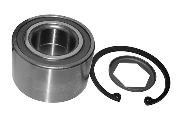 Wheel Bearing Kit (RK03860)