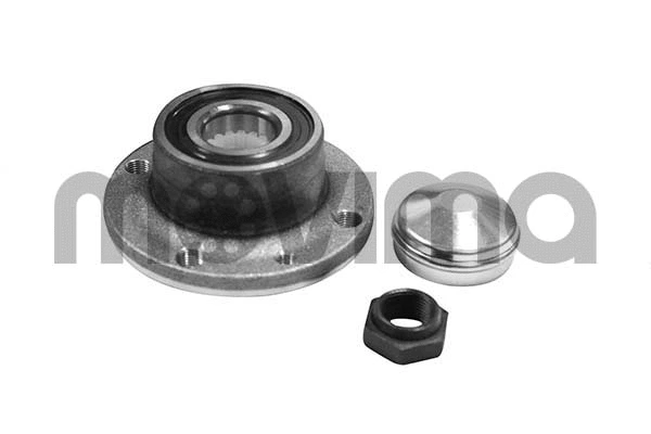 Wheel Bearing Kit (RK00096)