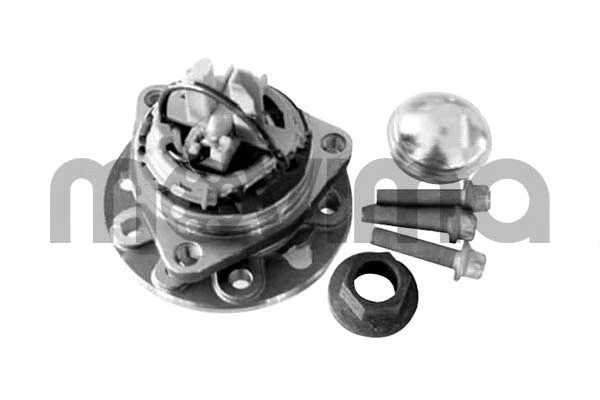 Wheel Bearing Kit (RK01204)