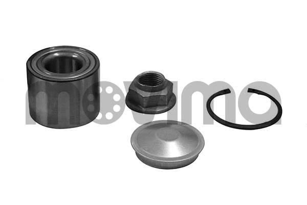 Wheel Bearing Kit (RK00728)