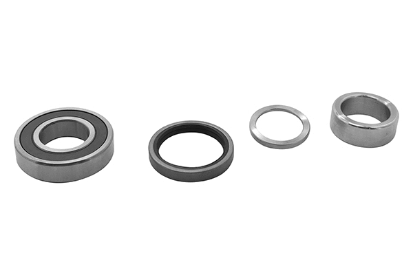 Wheel Bearing Kit (RK00656)