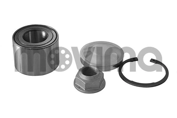 Wheel Bearing Kit (RK00576)