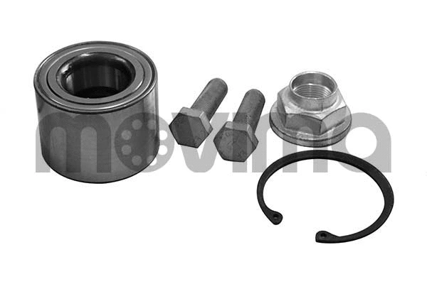 Wheel Bearing Kit (RK01008)