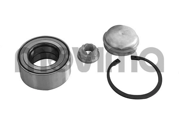 Wheel Bearing Kit (RK00196)