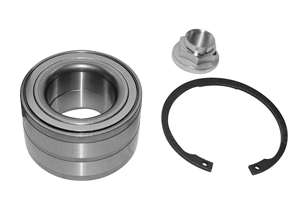 Wheel Bearing Kit (RK01560)