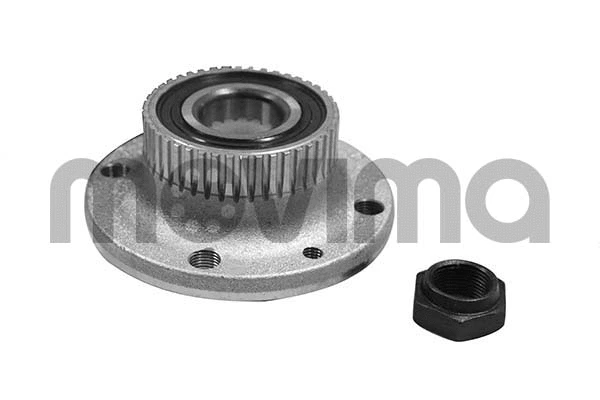 Wheel Bearing Kit (RK01000)