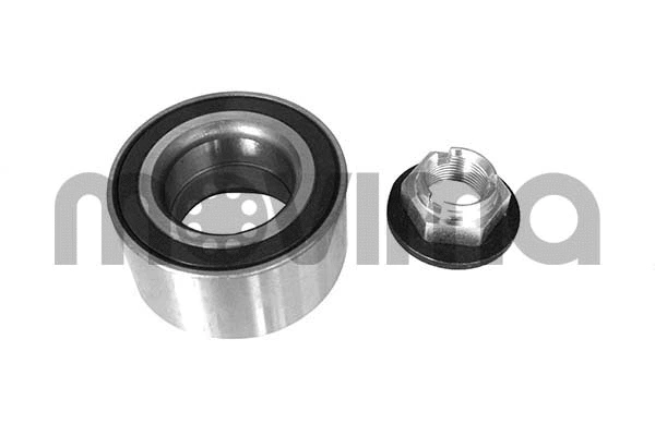 Wheel Bearing Kit (RK00384)
