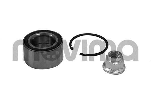 Wheel Bearing Kit (RK01360)