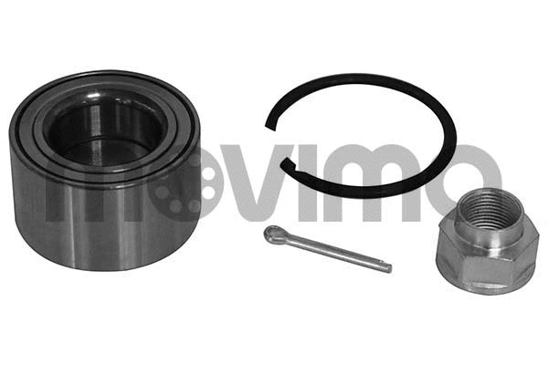 Wheel Bearing Kit (RK01024)