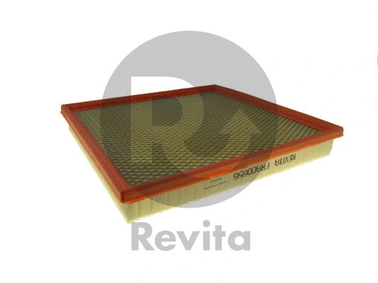 Air Filter (FRA00656)