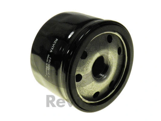 Oil Filter (FRO00916)
