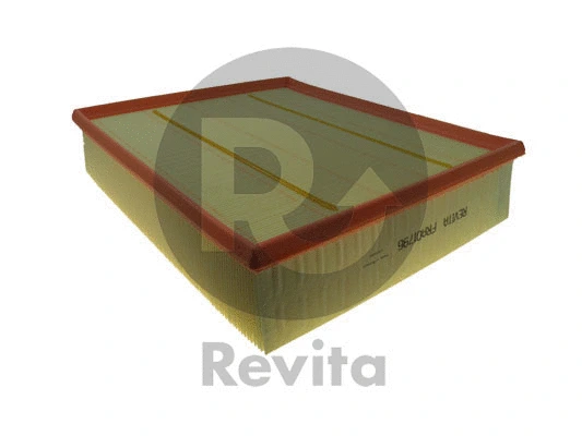 Air Filter (FRA01796)