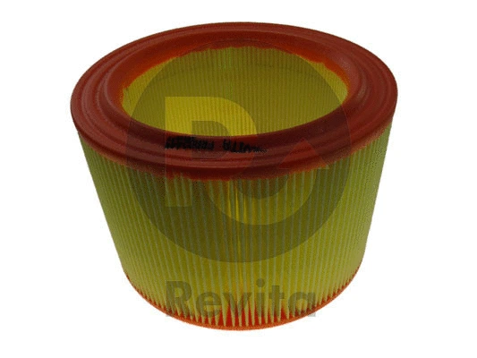 Air Filter (FRA02444)