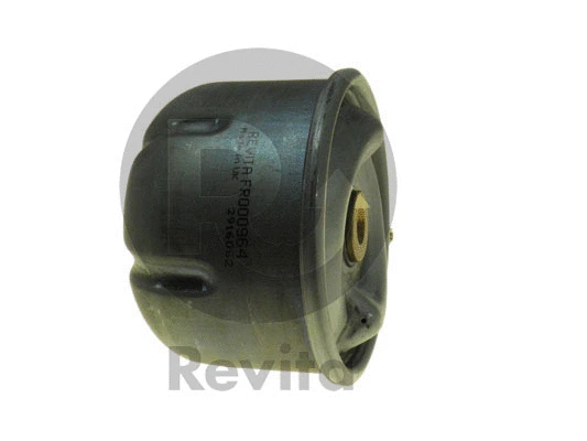 Oil Filter (FRO00964)